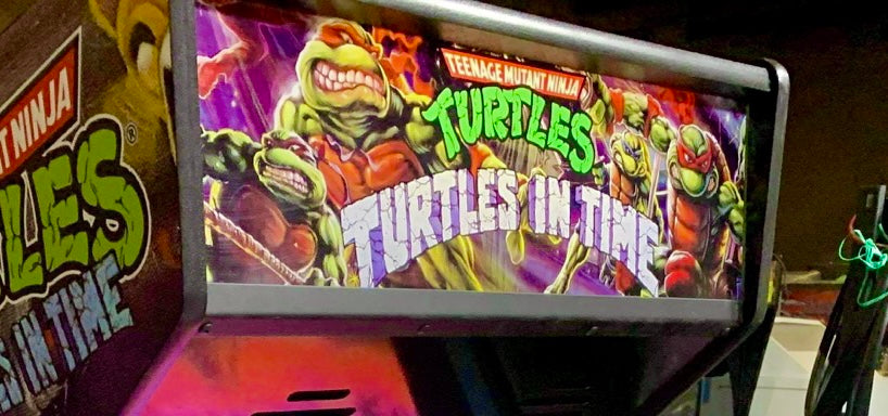 Carpa alternativa Tortugas en el tiempo