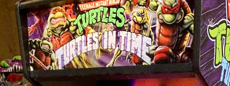 Carpa alternativa Tortugas en el tiempo