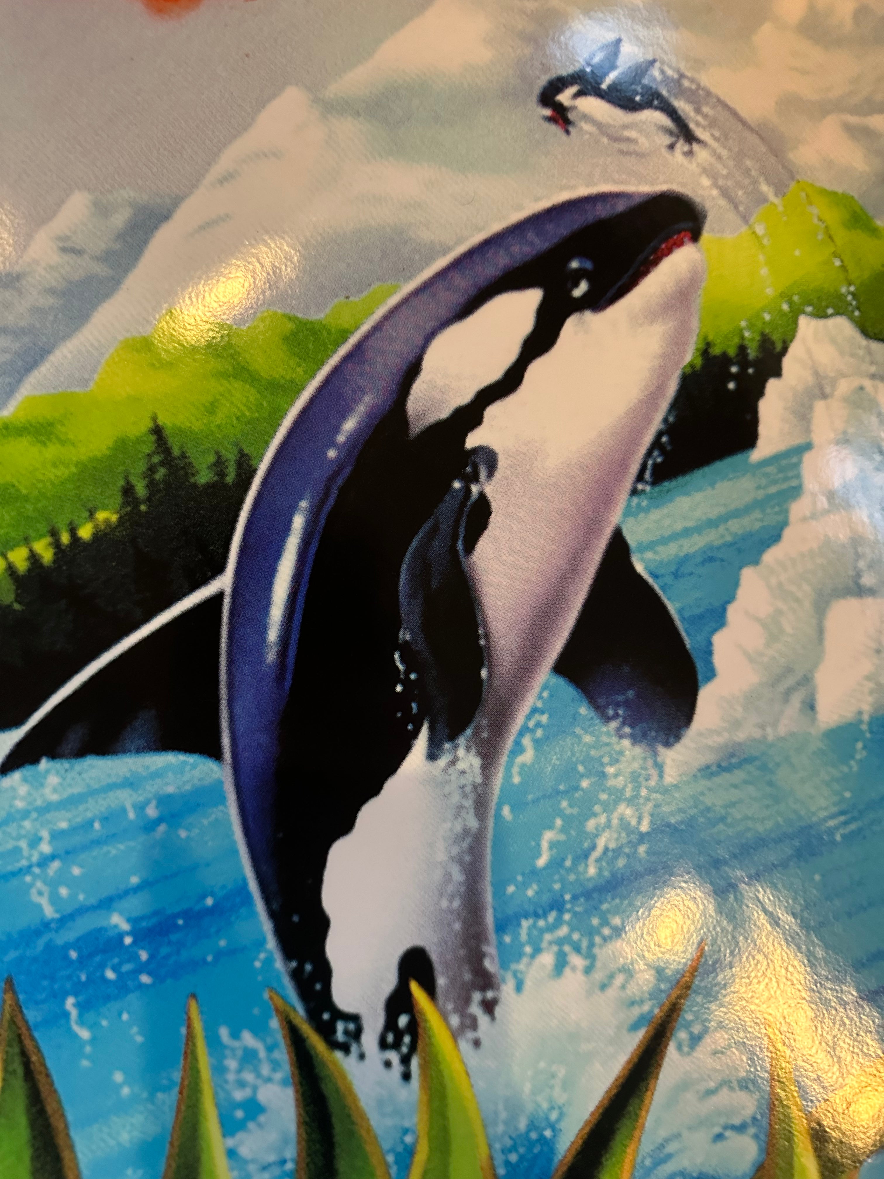 Art annexe de Cruis'n Exotica