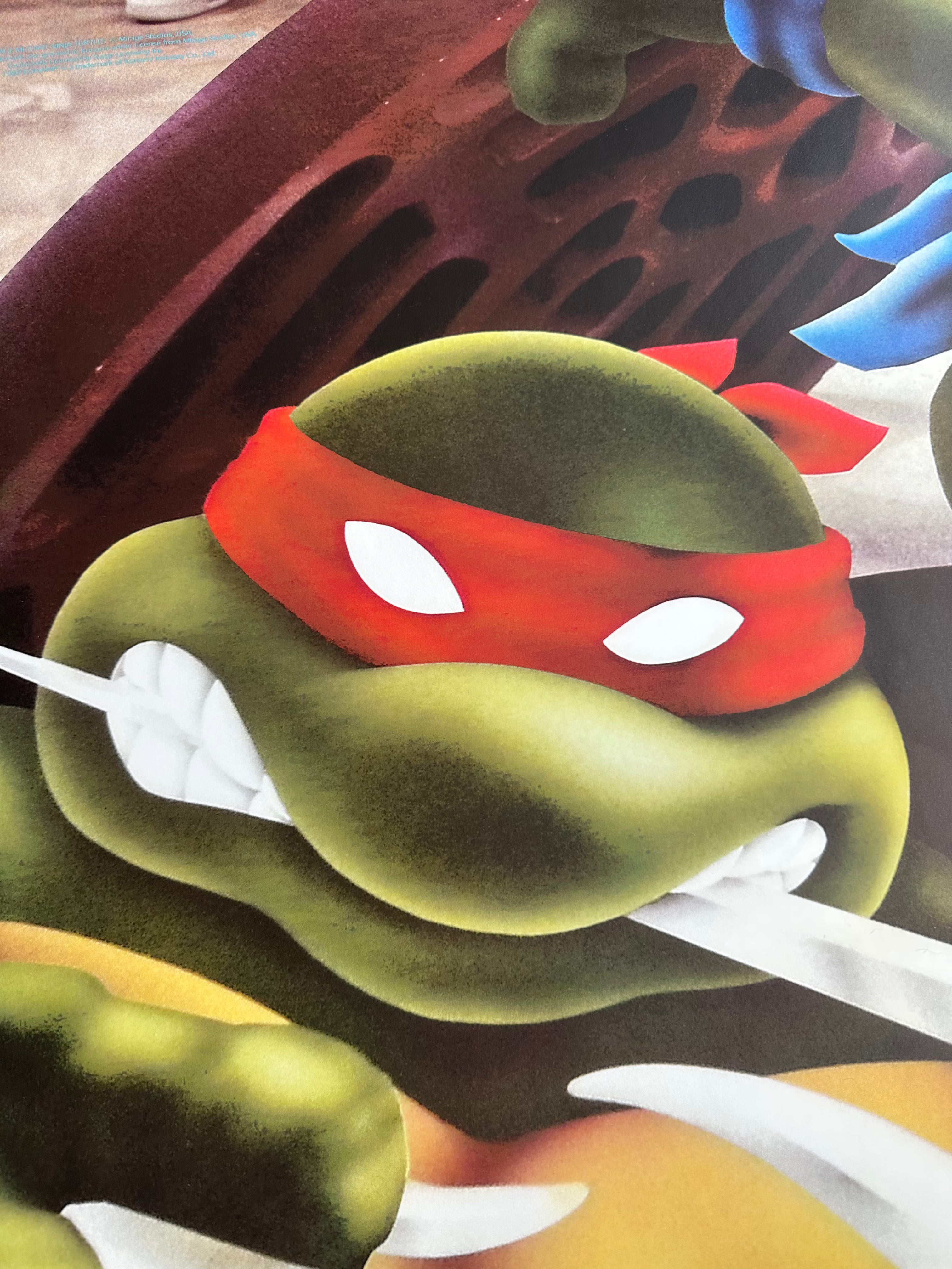 Art latéral des tortues