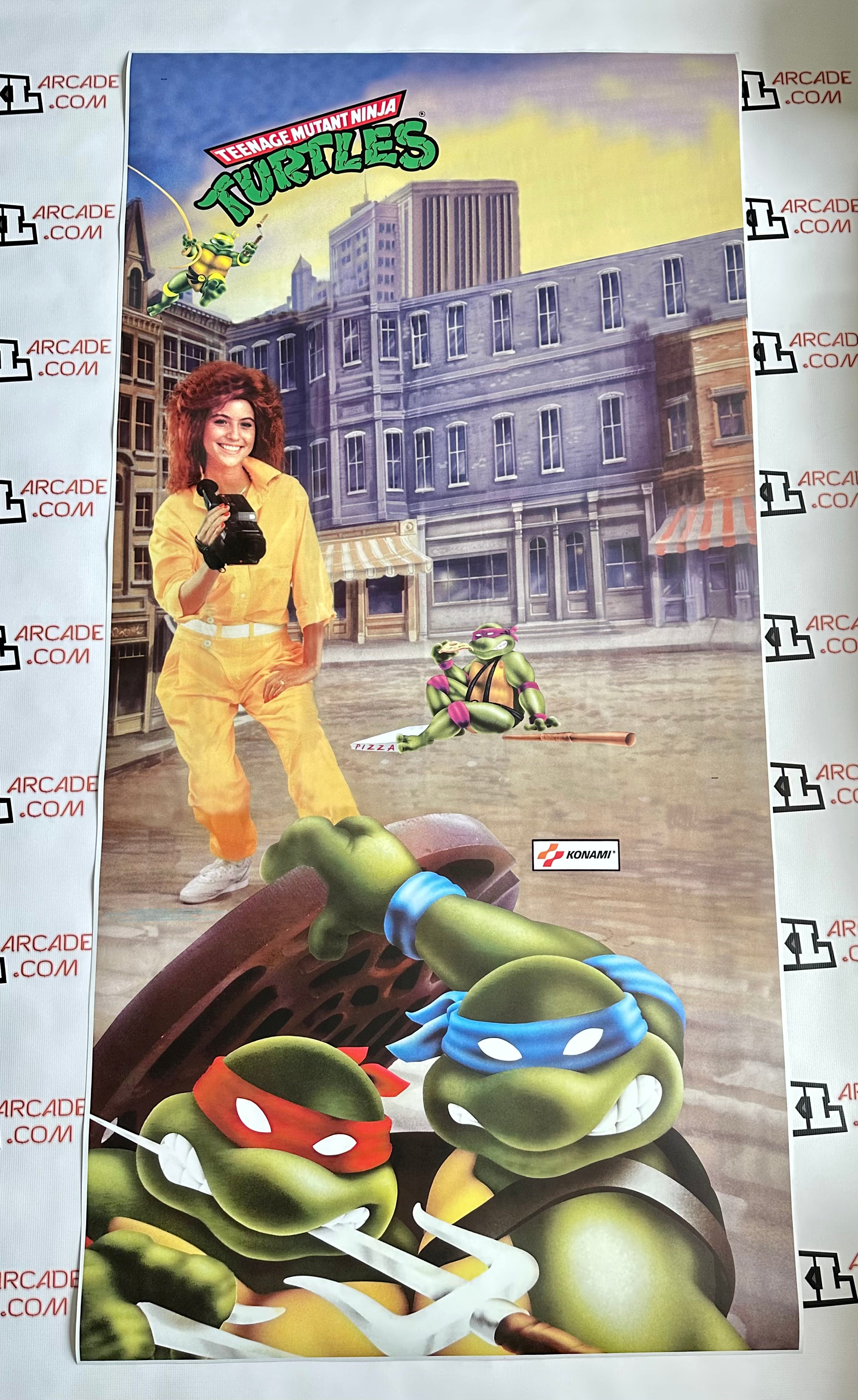 Art latéral des tortues