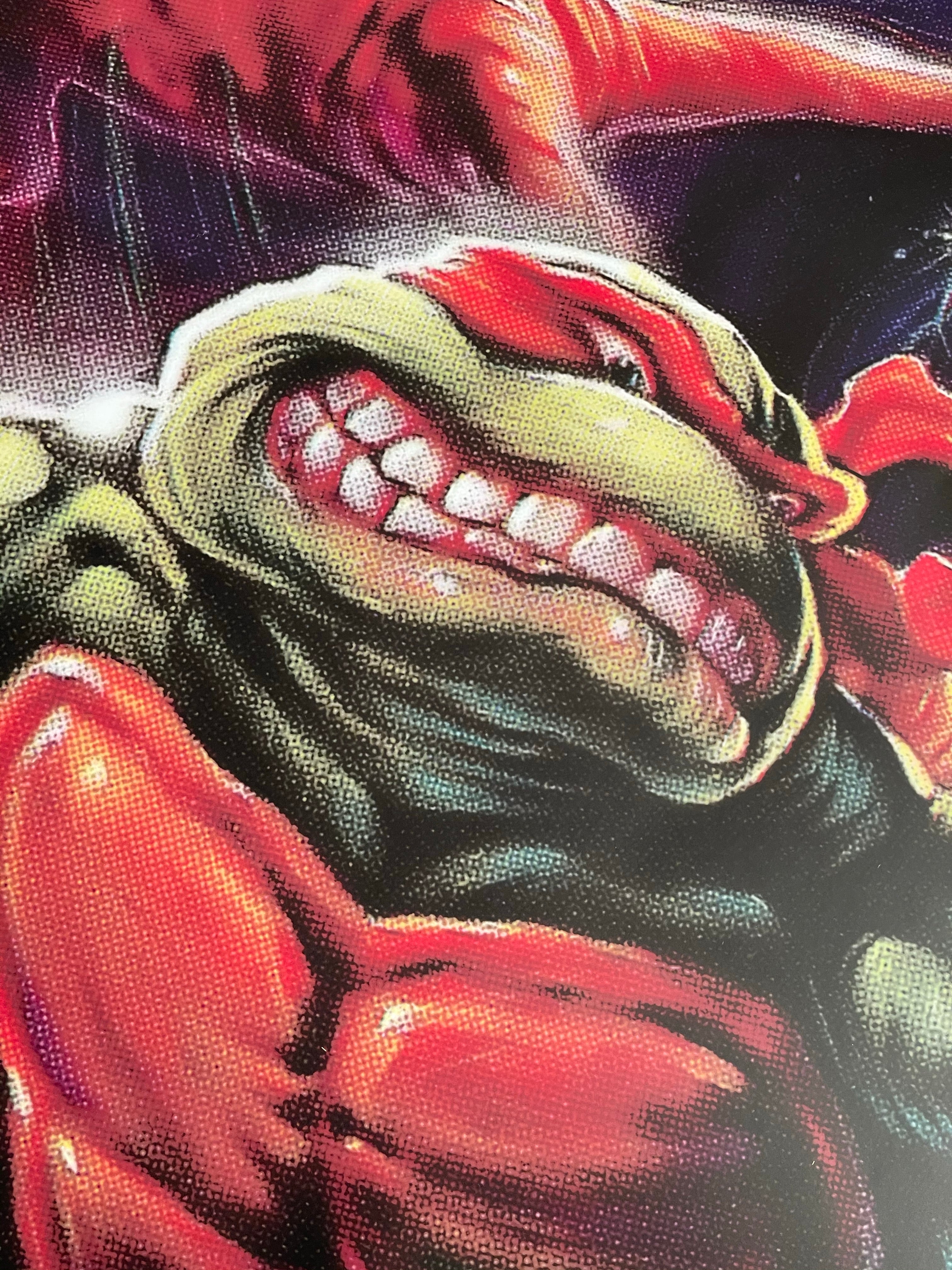 Turtles in Time Alternate Side Art