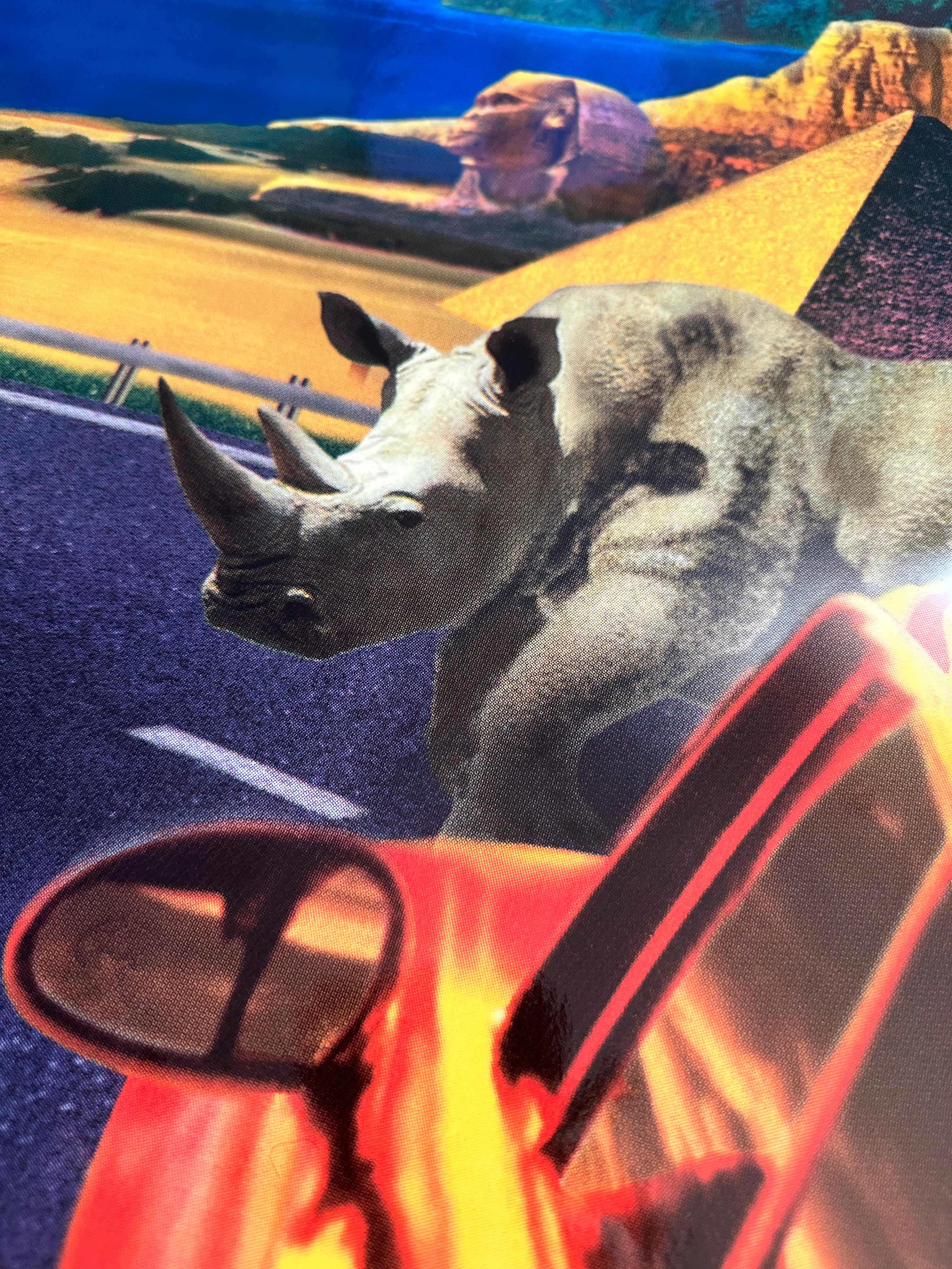 Cruis'n World Side Art