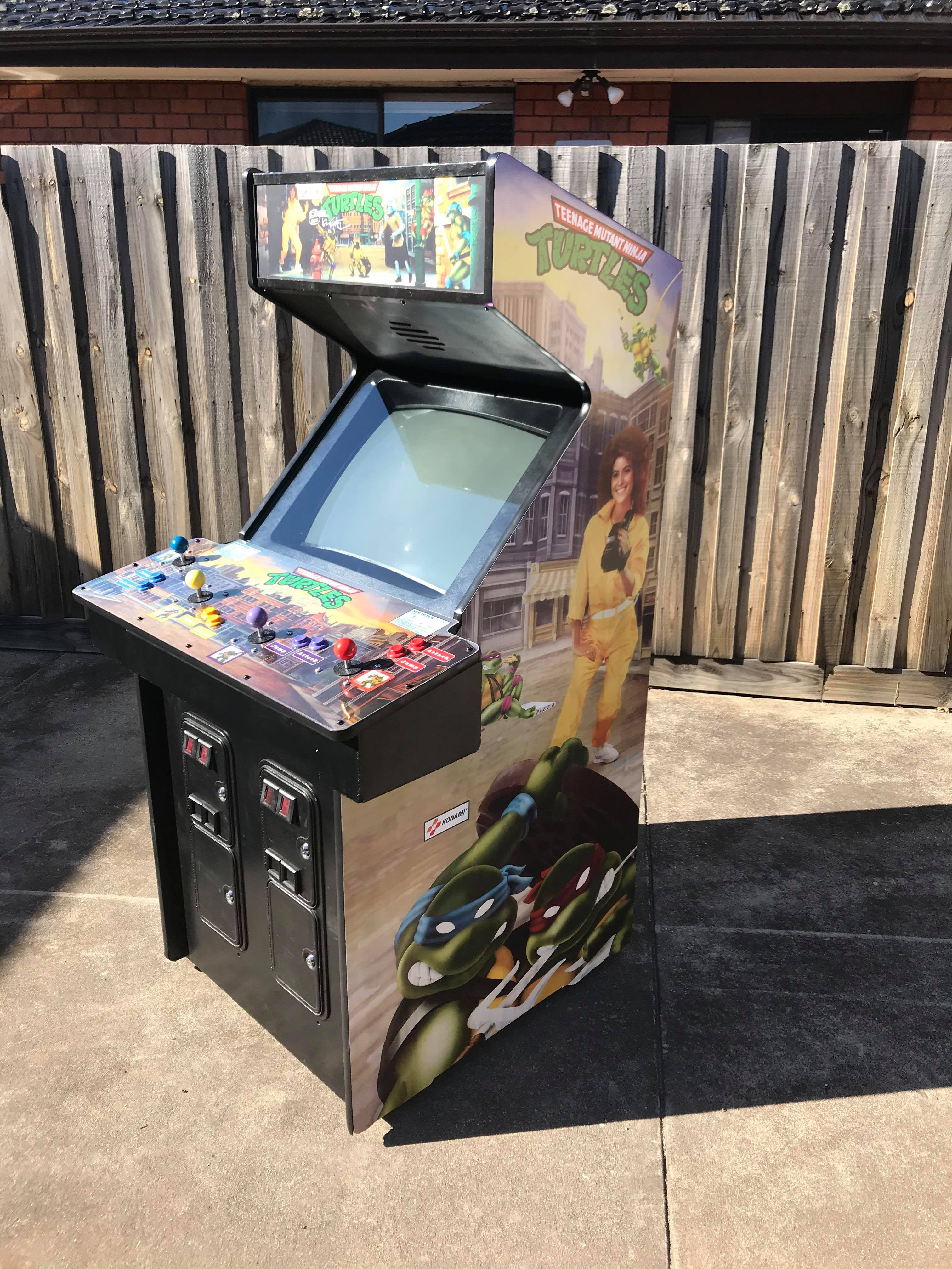 Art latéral des tortues